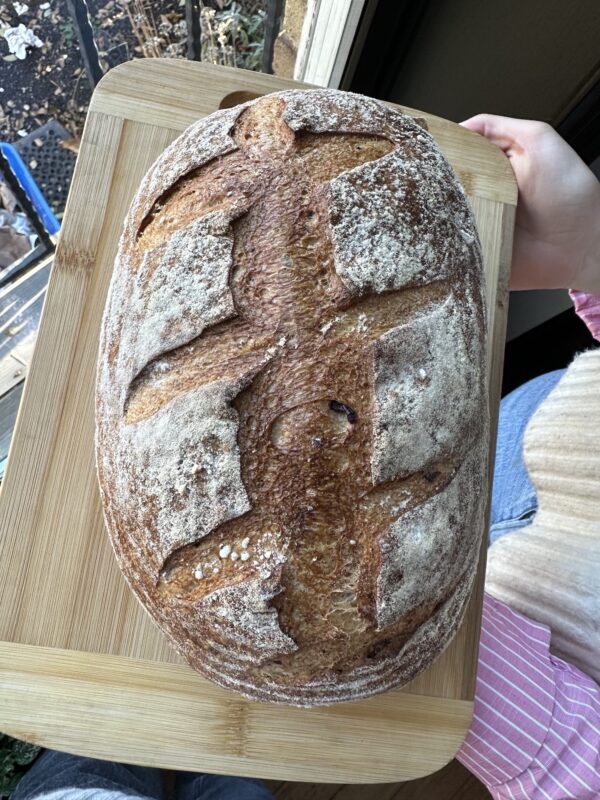 Olive Loaf Sourdough (750g)